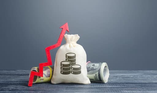 Cover Image for Smart Strategies for Managing Excess Cash in Business